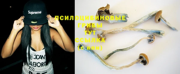 шишки Алексин