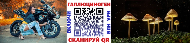 Псилоцибиновые грибы GOLDEN TEACHER  наркошоп  Сухиничи 